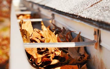 Renfrew gutter cleaning companies